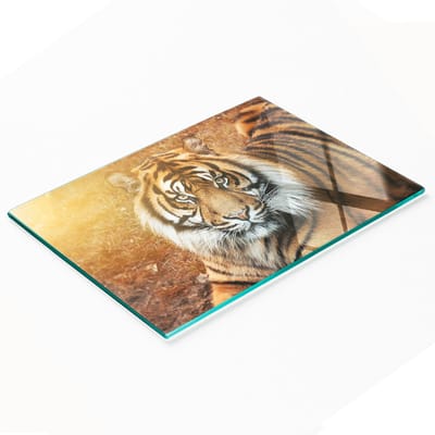 Decoratieve glazen snij- en serveerplank met Bengaalse tijgermotief, 80x52 cm