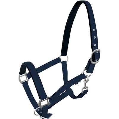 Halster voor paarden York