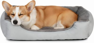 Famanu – Bed voor Katten en Kleine Honden – Zacht Huisdierbed met Verhoogde Rand -Afmeting 45 x 60 cm -Antislip en Wasbaar