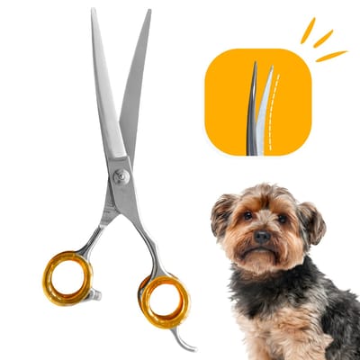 Professor Q - Professionele Up Gebogen Hondenschaar – Oranje, 7.5 Inch (19.5 cm) – Ideaal voor Langharige Honden