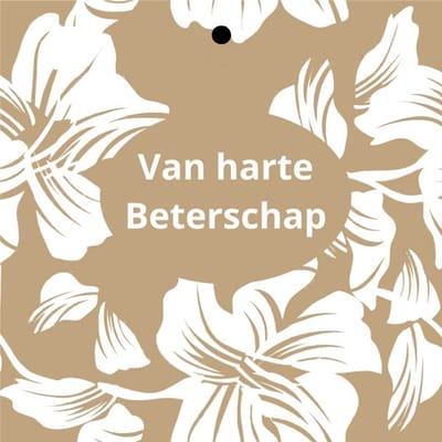 Cadeaukaartje - “Van harte Beterschap” - 20 Stuks - 7mm x 7mm - Wenskaartje - Met boorgaatje - Serie: Siem - Kraft / Zwart / Wit - Kadokaartjes