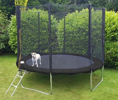 Viking Sports Trampoline 244 cm - Met veiligheidsnet en ladder - tot 80 kg