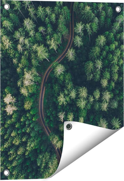 Gards Tuinposter Weg Door Bos met Bomen - Bovenaanzicht - 40x50 cm - Tuindoek - Tuindecoratie - Wanddecoratie buiten - Tuinschilderij