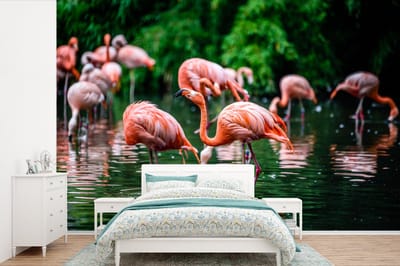 Behang - Fotobehang Flamingo - Tropisch - Vogel - Water - Roze - Breedte 390 cm x hoogte 260 cm