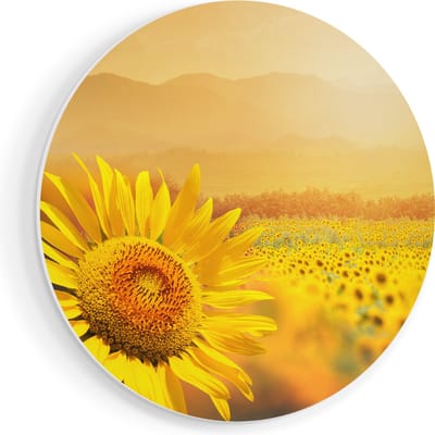 Artaza Forex Muurcirkel Zonnebloemen Veld Met Zonopkomst - 90x90 cm - Groot - Wandcirkel - Rond Schilderij - Muurdecoratie Cirkel