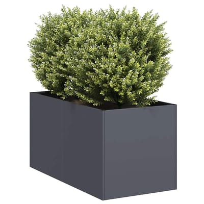 vidaXL - Plantenbak - 40x80x40 - cm - koudgewalst - staal - antracietkleurig