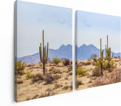 Artaza Canvas Schilderij Tweeluik Cactussen in de Woestijn - 120x80 - Foto Op Canvas - Canvas Print