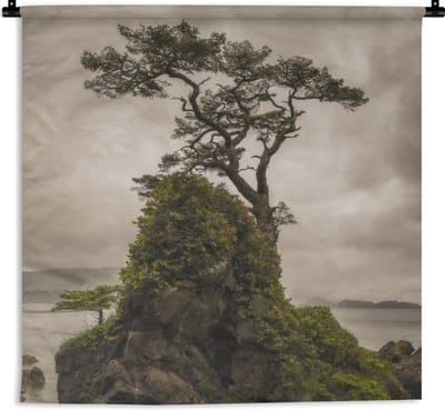 Wandkleed - Wanddoek - Boom en rots op de Canadese Charlotte-eilanden in Brits-Columbia - 60x60 cm - Wandtapijt