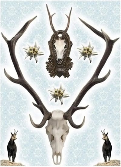 Komar - Muursticker - Holadiho - Zelfklevend - Muurdecoratie - Stickers - 50 x 70 cm