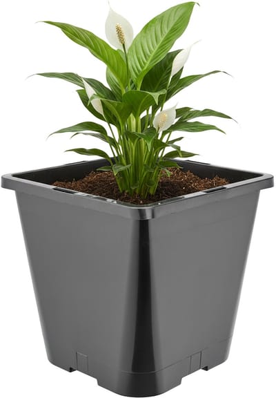 Garronda Hoge vierkante kunststof bloempot met drainagegaten voor tuin (Zwart, 20 x 20 x 23 cm (5,6L)) GD-KW-HS