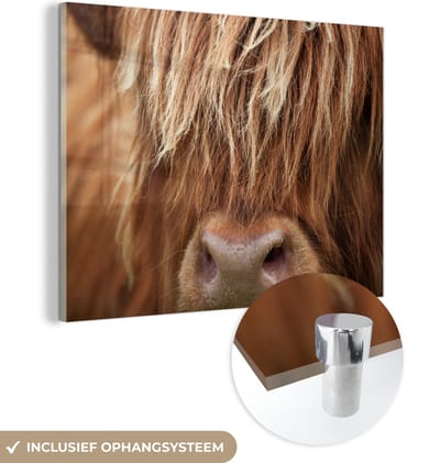 MuchoWow® Glasschilderij 160x120 cm - Schilderij acrylglas - Schotse Hooglander - Neus - Haar - Foto op glas - Schilderijen