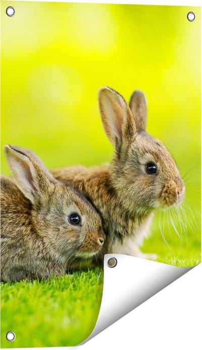Gards Tuinposter Twee Konijnen op het Groene Gras - 40x60 cm - Tuindoek - Tuindecoratie - Wanddecoratie buiten - Tuinschilderij