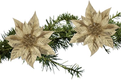 Cosy & Trendy Decoratie bloem - 2x stuks - kerstster - op clip - goud - glitter -18 cm - kunststof - kerstversiering