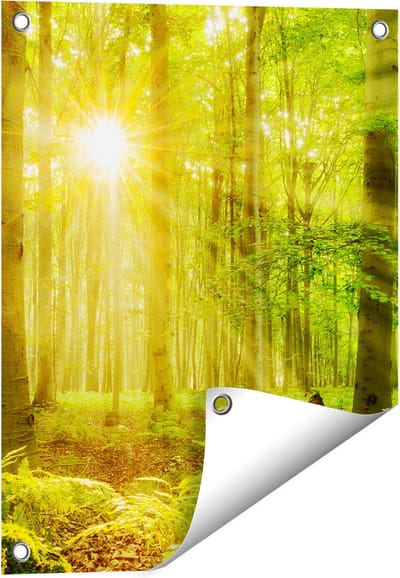 Gards Tuinposter Groen Bos met Schijnende Zonnestralen - 40x50 cm - Tuindoek - Tuindecoratie - Wanddecoratie buiten - Tuinschilderij