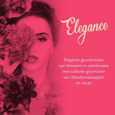 Vogue Elegance Parfum Deodorant Voordeelverpakking 6 x 150 ml
