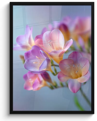 Poster in lijst - Fotolijst 60x80 cm - Posters - Bloemen - Paars - Overloop - Meeldraden - Posterlijst zwart - Decoratie - Wanddecoratie woonkamer - Muurdecoratie slaapkamer