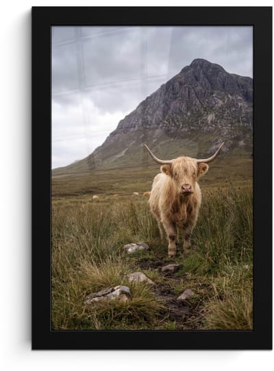 Poster in lijst - Fotolijst 20x30 cm - Posters - Schotse hooglander - Bergen - Grasveld - Posterlijst zwart - Decoratie - Wanddecoratie woonkamer - Muurdecoratie slaapkamer