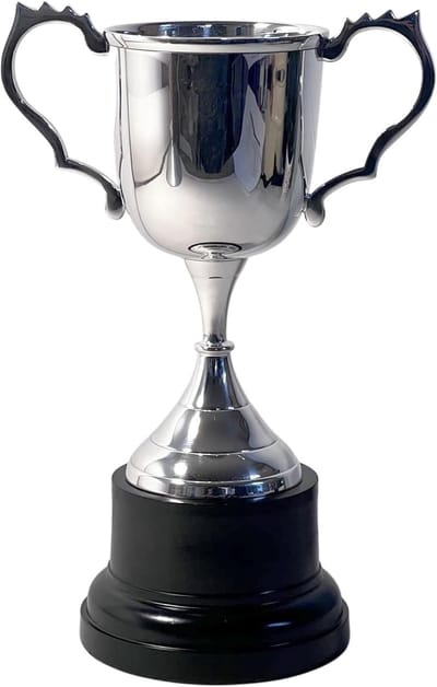Trofee Cup - Award Beker - Prestaties Vieren - Klassiek Tijdloos Design - 22cm - Zilver