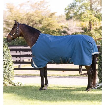 Outdoor paardendeken Horseware Rhino 100g