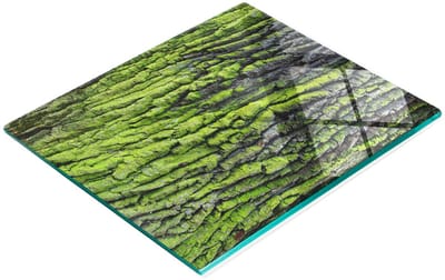 Decoratieve serveerplank van glas met boomschorsmotief, 60x52 cm