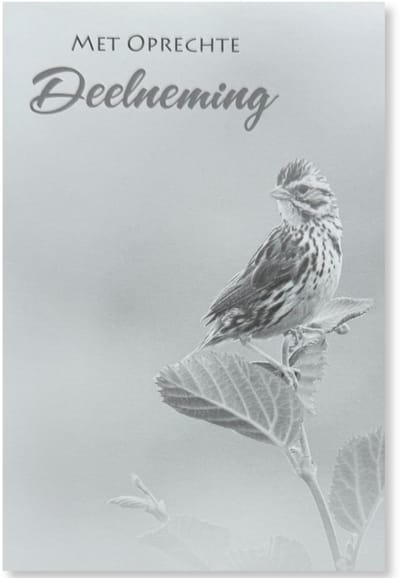 Cards & Crafts Condoleancekaart - Met Oprechte Deelneming Wenskaart - 12 x 17 cm - gevouwen kaart Inclusief envelop
