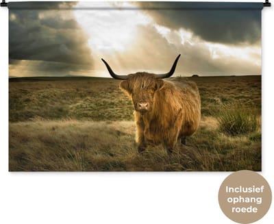 Wandkleed Schotse hooglander - Harige Schotse hooglander met zonnestralen Wandkleed katoen 120x80 cm - Wandtapijt met foto