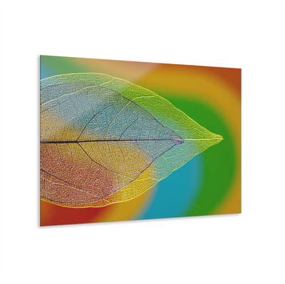 Indoorart - Glasschilderij doorzichtig blad 60x40 CM - Afbeelding op plexiglas - Inclusief montagemateriaal