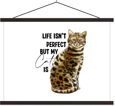 Posterhanger incl. Poster 40x30 cm - Schoolplaat - Spreuken - Quotes - Life isn't perfect but my cat is - Poes - Textielposter - Zwarte latten