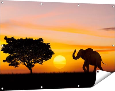 Gards Tuinposter Olifant Silhouet tijdens Zonsondergang - 120x80 cm - Tuindoek - Tuindecoratie - Wanddecoratie buiten - Tuinschilderij