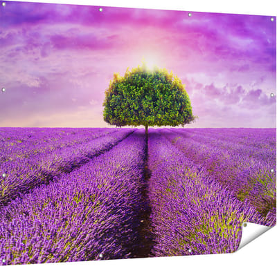 Gards Tuinposter Groene Boom in de Lavendel Bloemen - 150x120 cm - Tuindoek - Tuindecoratie - Wanddecoratie buiten - Tuinschilderij