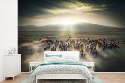 Behang - Fotobehang Paarden - Natuur - Mist - Wilde dieren - Breedte 360 cm x hoogte 240 cm