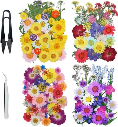 160 Stuks Gedroogde Bloemen Mix met Pincet en Schaar Set voor Creatieve Projecten, Epoxyhars en Sieraden