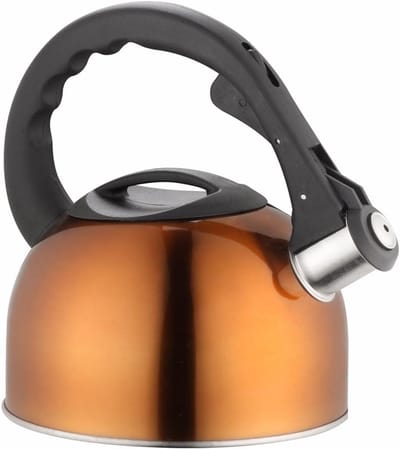 Waterketel - Theeketel Fornuis - Water Koken - Met Fluitje - 2 Liter - Zwart