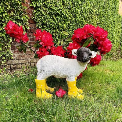 Lam wit met zwarte kop met gele laarzen 32 cm hoog - polyresin - polystone - hoogkwalitatieve kunststof - decoratiefiguur - interieur - accessoire - voor binnen - voor buiten - cadeau - geschenk - tuinfiguur - tuinbeeld
