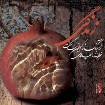 Sa'eed Laari - Life (CD)