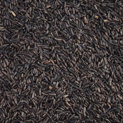 Duvoplus - Binnenvogelvoer - Vogel - Nigerzaad Extra 20kg - 1st
