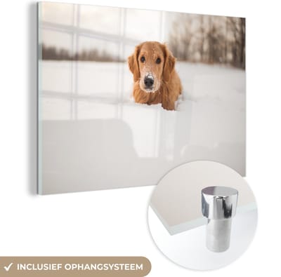 MuchoWow® Glasschilderij 60x40 cm - Schilderij acrylglas - Hond - Sneeuw - Winter - Foto op glas - Schilderijen