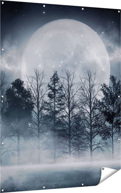 Gards Tuinposter Maan tussen de Bomen in de Nacht - 120x160 cm - Tuindoek - Tuindecoratie - Wanddecoratie buiten - Tuinschilderij