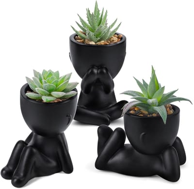 Dailygoods - Kunstmatige Vetplanten Set - 3 Stuks, Zwart