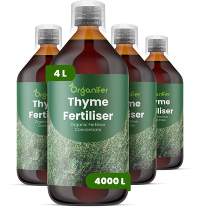 Vloeibare Meststof Voor Tijm 4X1 L Voor 4000 L - Npk 2-1-8 - Ondersteunt Compacte - Bossige Groei Van Tijm - Verbetert Aroma En Concentratie Van Essentiële Oliën - Geschikt Voor Tuin - Potten En Professionele Kruidenteelt - Organifer
