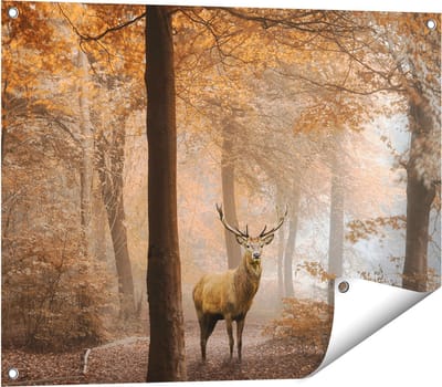 Gards Tuinposter Hert in het Bos - Herfst - 80x60 cm - Tuindoek - Tuindecoratie - Wanddecoratie buiten - Tuinschilderij