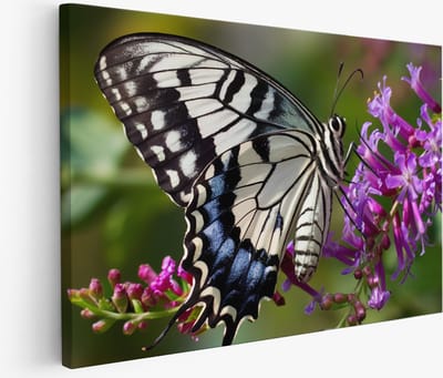 Saammp Muurcirkel Hout - penseelstreken - Pastel kunst - Abstracte Wanddecoratie Cirkel- Ø 90 - Wandcirkel - Wanddecoratie Cirkel - Muurdecoratie Woonkamer - Kantoor Decoratie