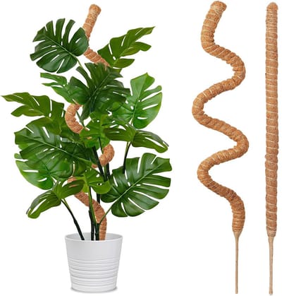 Kokospalmstelen - 2 stuks - Mosstelen - 1 parr - 60 cm - Flexibel en vormbaar - Geschikt voor klimplanten binnenshuis - Plantensteunen - Bruin