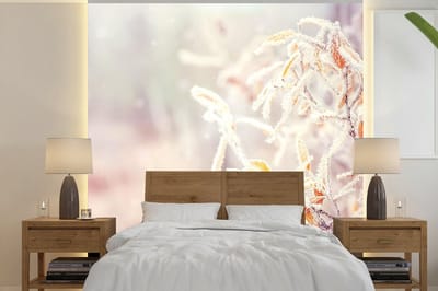 Behang - Fotobehang Winter - Takken - Sneeuw - Natuur - Breedte 300 cm x hoogte 300 cm