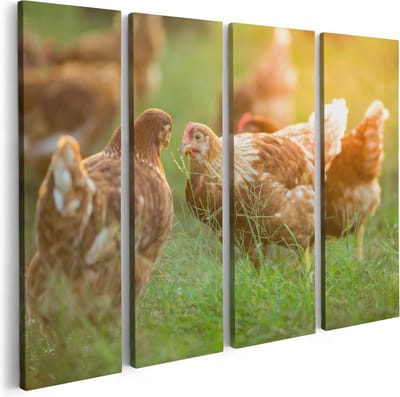 Artaza Canvas Schilderij Vierluik Kippen op het Gras  - 80x60 - Foto Op Canvas - Canvas Print