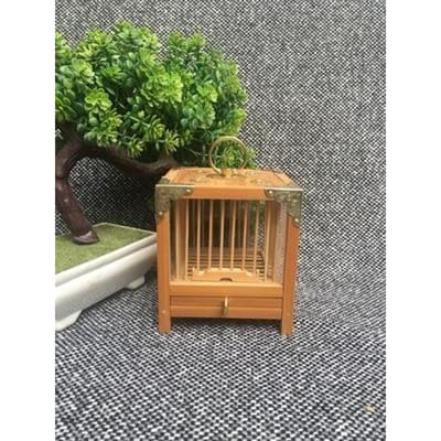 Sprinkhanen Kooi Warm Acryl Natuurlijk Bamboe Handgemaakt Puur Handgemaakt Dubbele Laag Afneembaar Zoemend Insect Kunst Spel