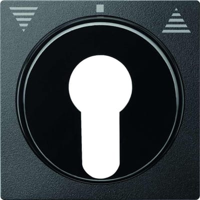 Centraal Plaatje - Afdekplaat Schakelaar - Rolluiken Bediening - Voor Oude Inzetstukken - System M - Antraciet