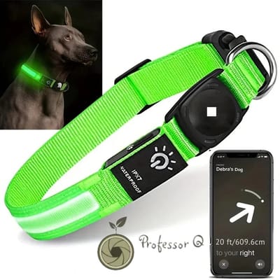 Professor Q NightGlow Reflect LED Hondenhalsband – Met AirTag Houder (Excl. AirTag) – Waterdicht – USB Oplaadbaar – Groen – L