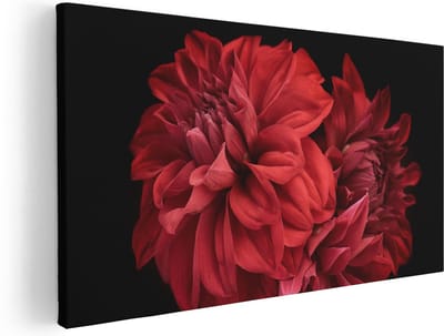 Artaza Canvas Schilderij Dahlia - 40x20 cm - Klein - Wanddecoratie Bloemen - Muurdecoratie Bloemen Rood - Schilderij Bloemen