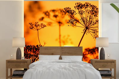 Behang - Fotobehang Planten - Bloemen - Zonsondergang - Oranje - Breedte 300 cm x hoogte 300 cm